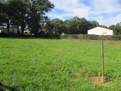 Acheter Terrain  Vendee