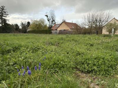 For sale Poinconnet 1423 m2 Indre (36330) photo 3