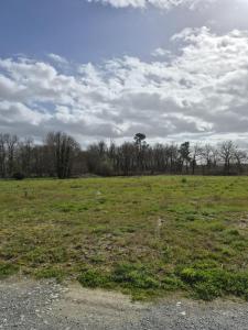 Annonce Vente Terrain Pugnac 33
