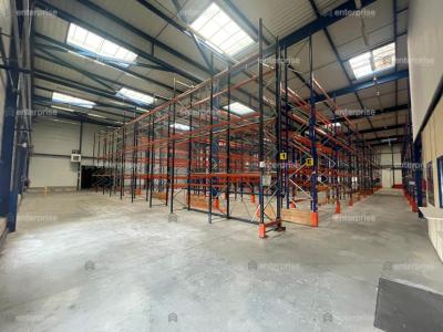 Annonce Location Commerce Capelle 02