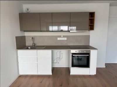 For rent Erquinghem-lys 2 rooms 43 m2 Nord (59193) photo 0