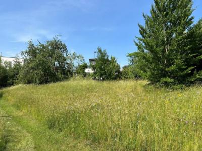 Acheter Terrain Charbonnieres-les-bains 395000 euros