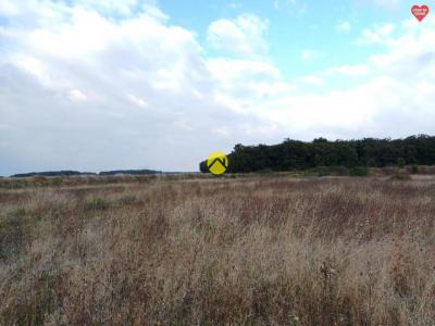 Acheter Terrain Charost 50430 euros