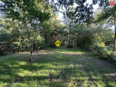 Acheter Maison 172 m2 Torteron