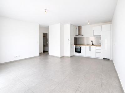 Annonce Vente 2 pi�ces Appartement Quint-fonsegrives 31