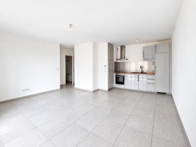 Annonce Vente 2 pi�ces Appartement Quint-fonsegrives 31