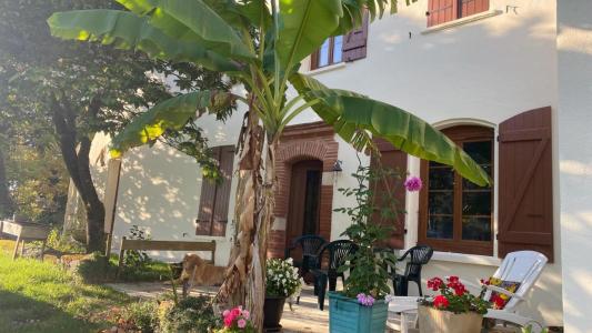 Annonce Vente Prestige Lavalette 31