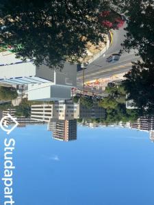 Annonce Location Appartement Marseille-8eme-arrondissement 13