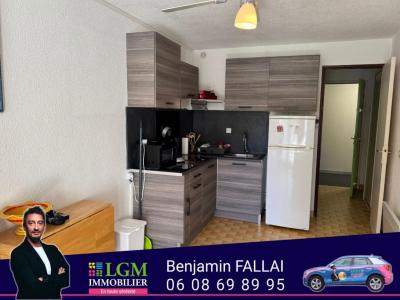 For sale Grau-du-roi 2 rooms 21 m2 Gard (30240) photo 3