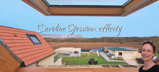 Annonce Vente 12 pi�ces Maison Poincy 77