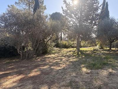 For sale Pierrevert 1013 m2 Alpes de haute provence (04860) photo 2
