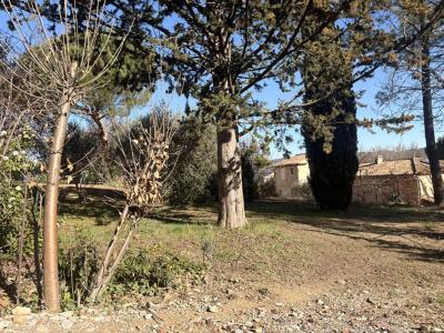For sale Pierrevert 1013 m2 Alpes de haute provence (04860) photo 4