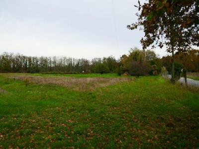For sale Leognan 2538 m2 Gironde (33850) photo 2