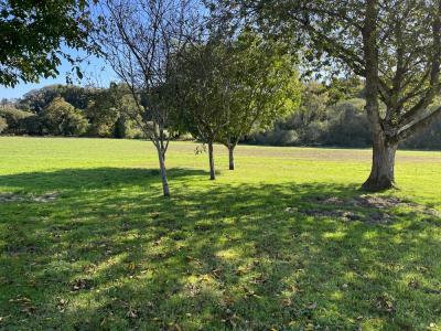 Annonce Vente 4 pi�ces Maison Saint-nicolas-du-pelem 22