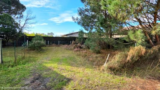 Acheter Maison 90 m2 Lanton