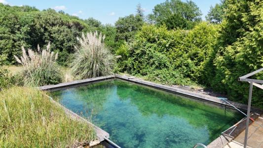 Annonce Vente 9 pi�ces Maison Buisson-de-cadouin 24