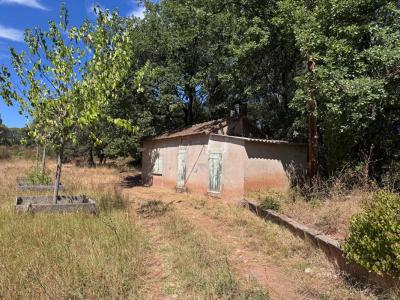 Annonce Vente Terrain Muy 83