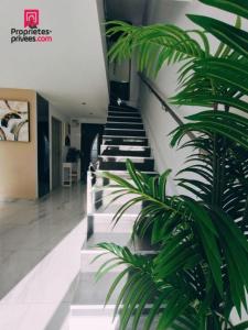 Acheter Maison Vidauban 440000 euros