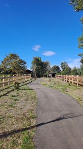 Annonce Vente Terrain Moliets-et-maa 40