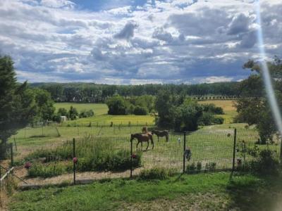 Acheter Maison Varreddes Seine et marne