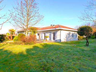 Annonce Vente 7 pi�ces Maison Riviere-saas-et-gourby 40