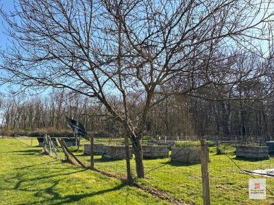 For sale Parce-sur-sarthe 6 rooms 148 m2 Sarthe (72300) photo 3