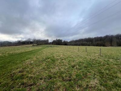 Annonce Vente Terrain Saint-georges-de-mons 63