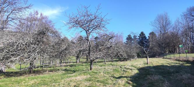 For sale Rougemont-le-chateau 2720 m2 Belfort (90110) photo 0