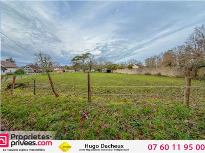 For sale Theillay 1106 m2 Loir et cher (41300) photo 0