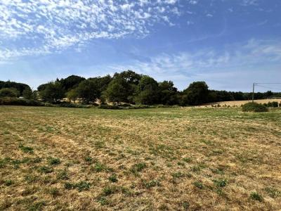 Annonce Vente Terrain Coquille 24