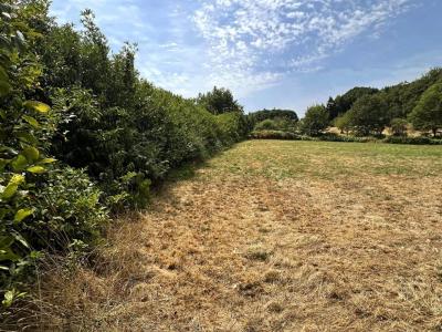 Acheter Terrain 6755 m2 Coquille