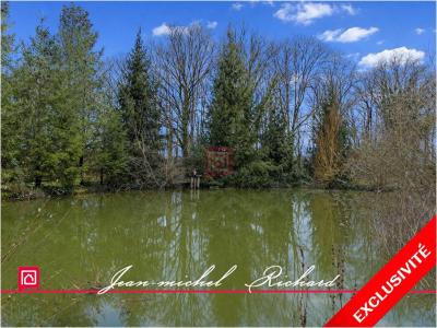 Annonce Vente 6 pi�ces Maison Gy-en-sologne 41