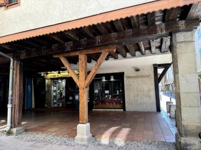 Acheter Immeuble Mirepoix Ariege