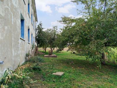 Acheter Maison 254 m2 Lesperon