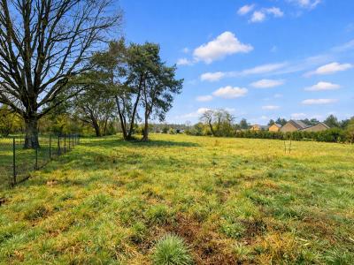 Annonce Vente Terrain Villefranche-sur-cher 41