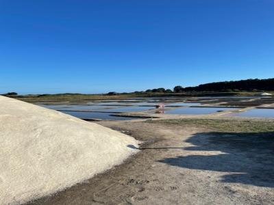 For sale Guerande 7 rooms 181 m2 Loire atlantique (44350) photo 0