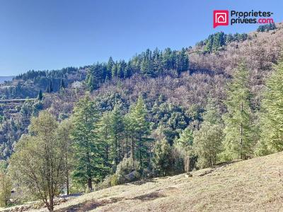 Acheter Terrain 2406 m2 Vigan