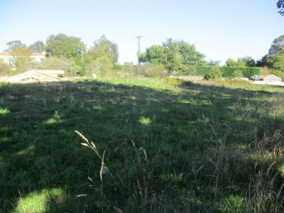 Acheter Programme neuf  89900 euros