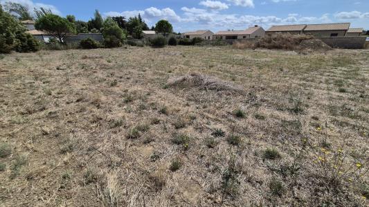 Annonce Vente Terrain  34