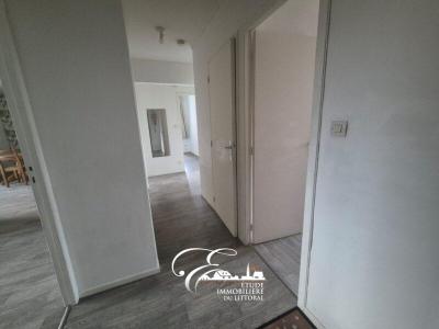 Annonce Location 3 pi�ces Appartement Audruicq 62