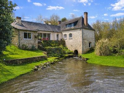 For sale Bouille-menard SEGRE-EN-ANJOU-BLEU 8 rooms Maine et loire (49520) photo 1