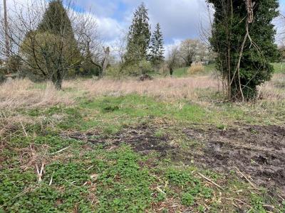 Acheter Terrain 2093 m2 Neuilly-saint-front