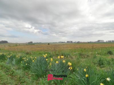 For sale Angerville-la-martel 1526 m2 Seine maritime (76540) photo 0