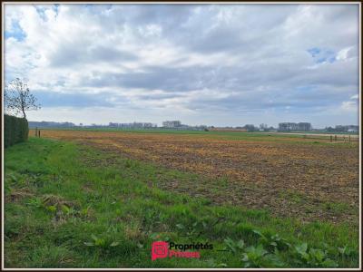 Annonce Vente Terrain Angerville-la-martel 76