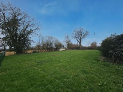 Annonce Vente Terrain Brains-sur-les-marches 53
