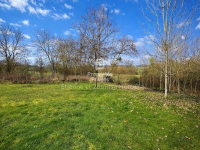 Annonce Vente Terrain Buxeuil 36