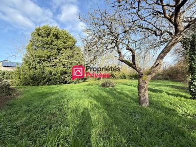 Annonce Vente Terrain Lerne 37
