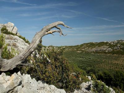 Acheter Prestige 800 m2 Arles