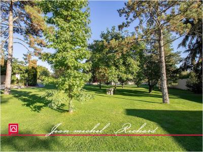 Annonce Vente 13 pi�ces Maison Selles-sur-cher 41