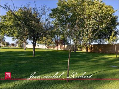 Acheter Maison 510 m2 Selles-sur-cher